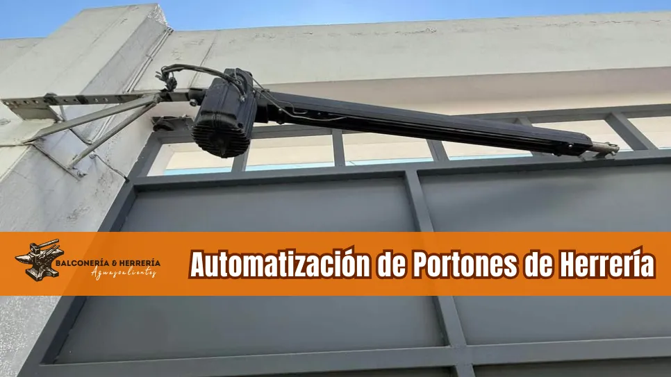 Sistemas de acceso automático en Aguascalientes